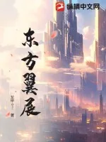 《东方翼展》小说封面