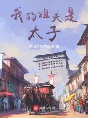 《我的姐夫是太子》小说封面