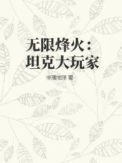 《无限烽火:坦克大玩家》小说封面