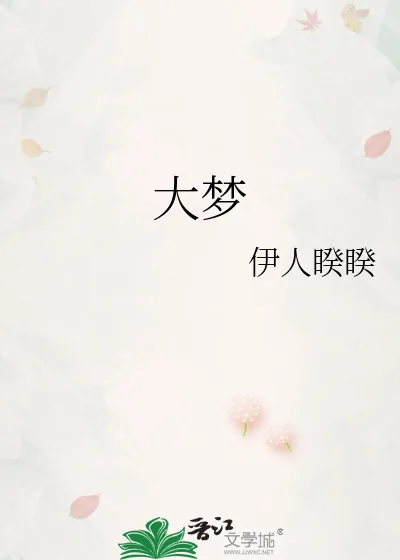 《大梦》小说封面