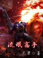 《流氓高手》小说封面