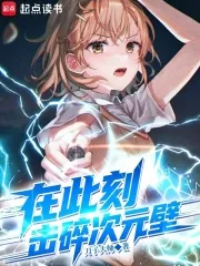 《在此刻,击碎次元壁》小说封面