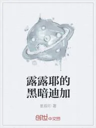 《露露耶的黑暗迪加》小说封面