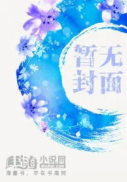 《偶次元三部曲》小说封面