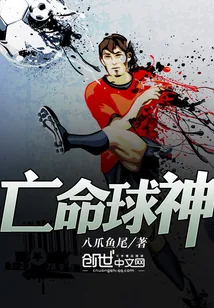 《亡命球神》小说封面