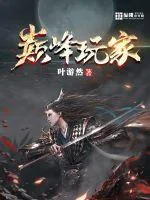 《巅峰玩家》小说封面