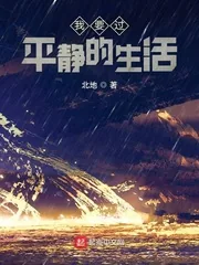 《我要过平静的生活》小说封面