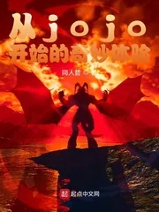 《从jojo开始的奇妙体验》小说封面