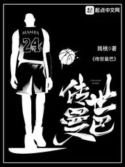 《传世曼巴》小说封面