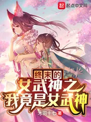 《终末的女武神之我竟是女武神？》小说封面