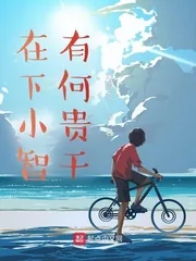 《在下小智，有何贵干》小说封面