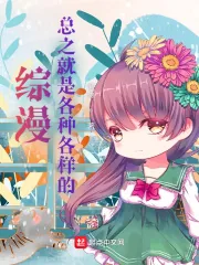 《综漫：总之就是各种各样的》小说封面