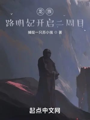 《龙族：开启二周目》小说封面