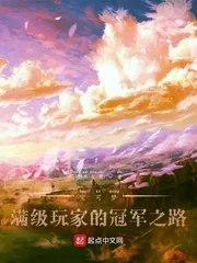 《宝可梦:满级玩家的冠军之路》小说封面
