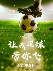 《让我进球带你飞》小说封面