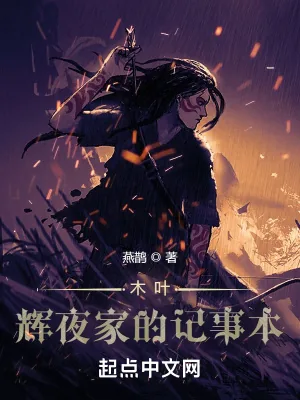 《木叶：辉夜家的记事本》小说封面