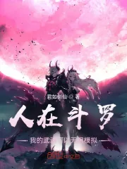 《人在斗罗,我的武魂可以无限模拟》小说封面