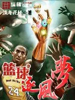 《篮球逐风梦》小说封面