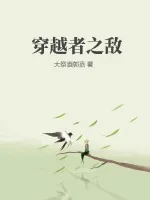 《穿越者之敌》小说封面