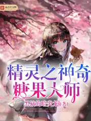 《精灵之神奇糖果大师》小说封面