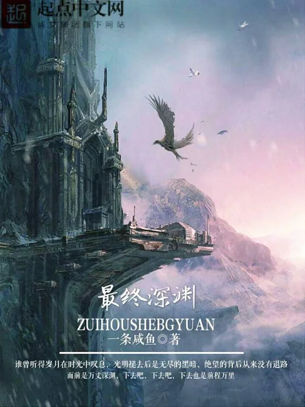 《最终深渊》小说封面