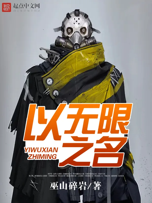 《以无限之名》小说封面