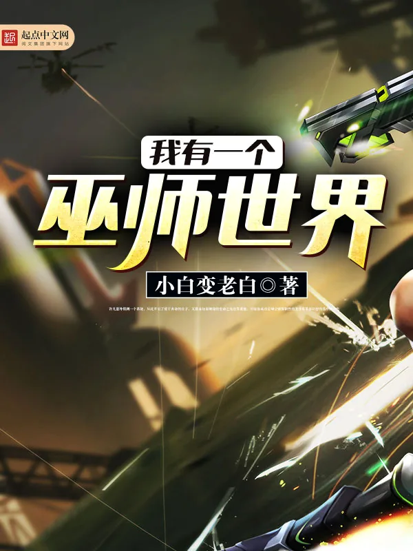 《我有一个巫师世界》小说封面
