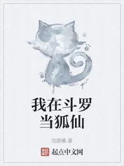 《我在斗罗当狐仙》小说封面