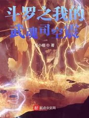 《斗罗之我的武魂司空震》小说封面