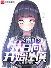 《木叶：从日向开始谨慎》小说封面