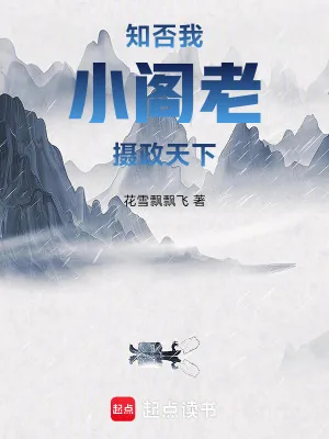 《知否:我,小阁老,摄政天下》小说封面