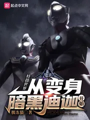 《特摄世界:从变身暗黑迪迦开始》小说封面