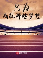 《只为成就那些梦想》小说封面