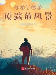 《排球少年之顶端的风景》小说封面