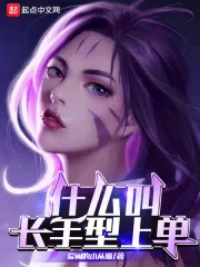 《什么叫长手型上单》小说封面