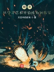 《精灵：从学习忍术开始成为训练家》小说封面