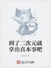 《到了二次元就拿出真本事吧》小说封面