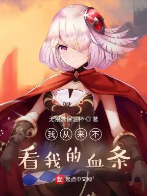 《我从来不看我的血条》小说封面
