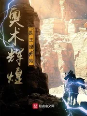《奥术辉煌从王座开始》小说封面