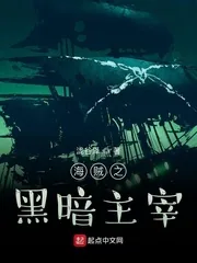《海贼之黑暗主宰》小说封面
