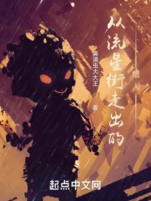 《从流星街走出的猎人》小说封面