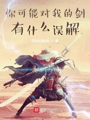 《你可能对我的剑有什么误解》小说封面