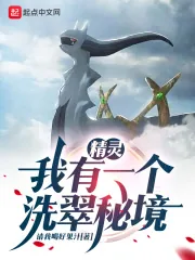 《精灵:我有一个洗翠秘境》小说封面