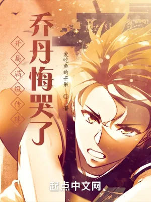 《开局满级传球,乔丹悔哭了》小说封面