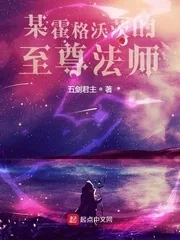 《某霍格沃茨的至尊法师》小说封面