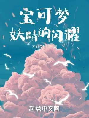《精灵宝可梦:妖精的闪耀》小说封面