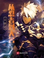 《从忍者到大名》小说封面