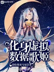 《化身虚拟数据歌姬》小说封面