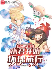 《精灵：从发现水君开始环球旅行》小说封面