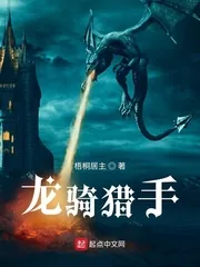 《龙骑猎手》小说封面
